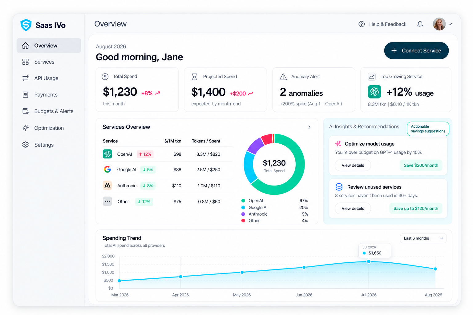 SAASIVO AI spending dashboard